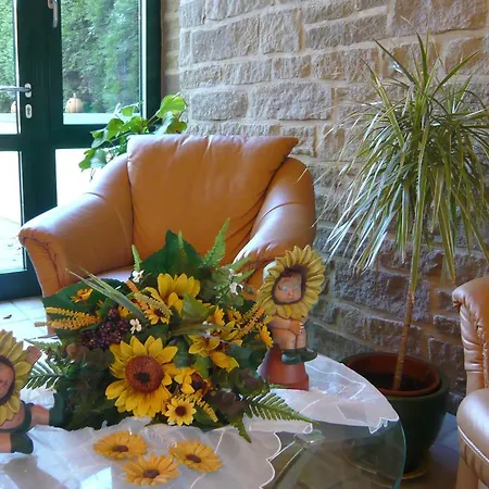 Haus Birken Hotel